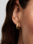 PANDORA ESSENCE | Orecchini Cerchi Squadrati Linea Avvolgente | 263875C00