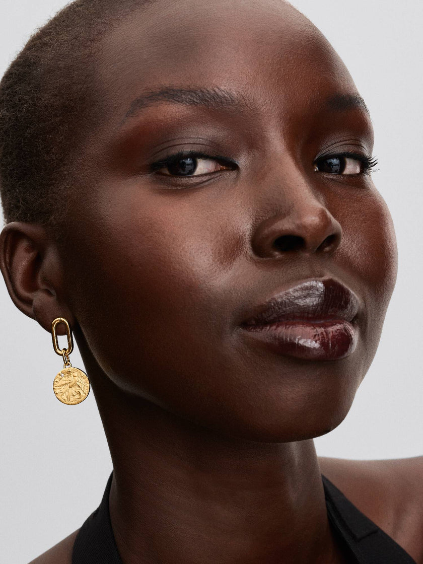 PANDORA TALISMAN | Charm Medallion Rondine 