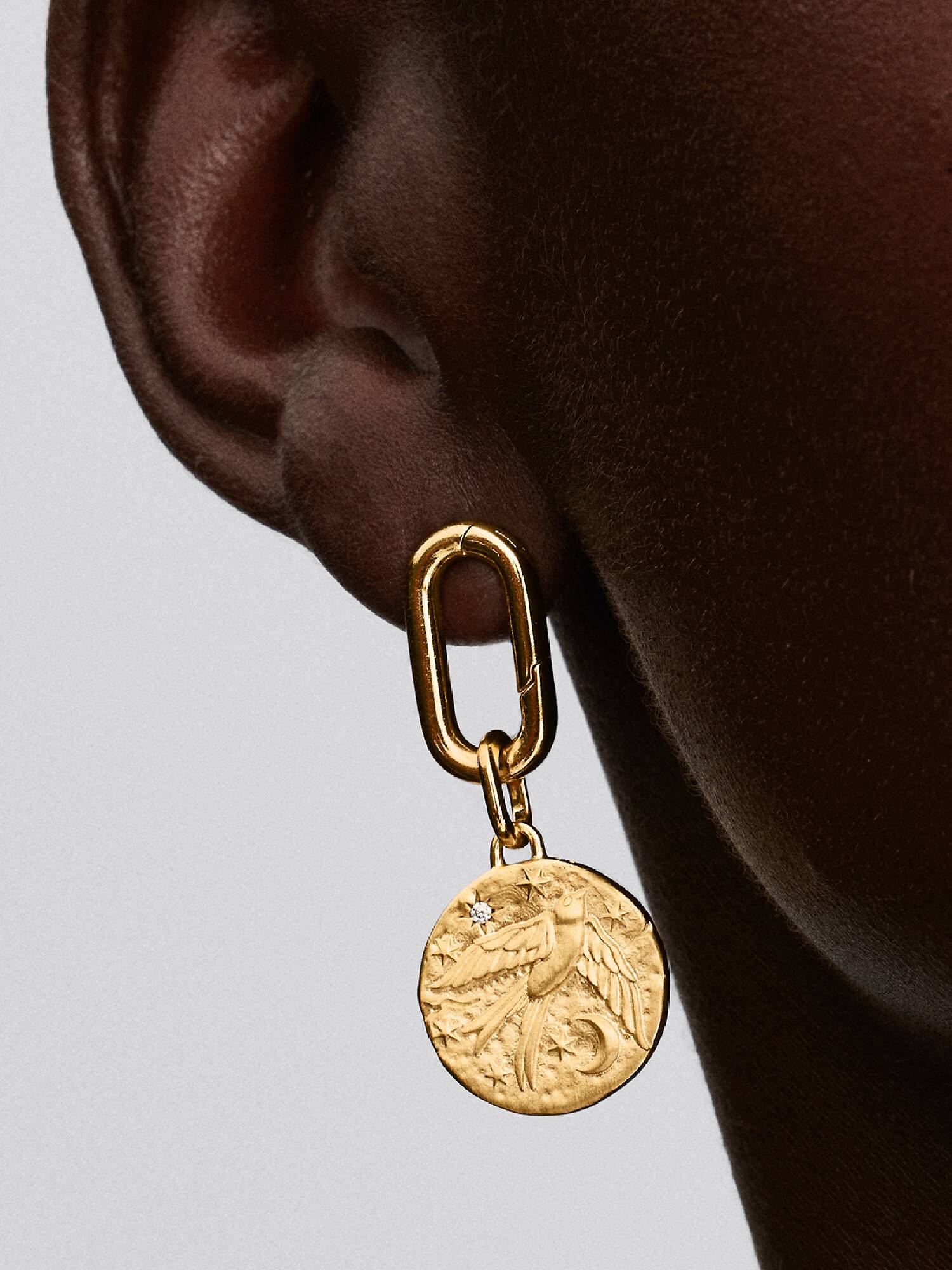 PANDORA TALISMAN | Charm Medallion Rondine 