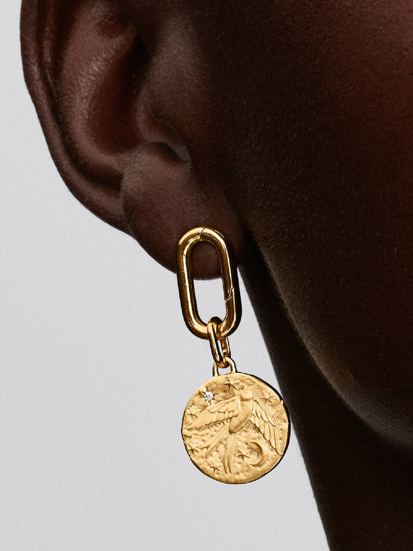 PANDORA TALISMAN | Charm Medallion Rondine 