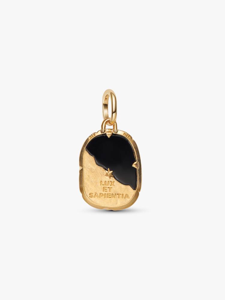 PANDORA TALISMAN | Charm Medallion Gufo 