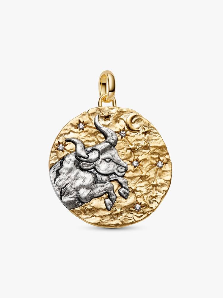 PANDORA ME - TALISMAN | Charm Medallion XL Toro 