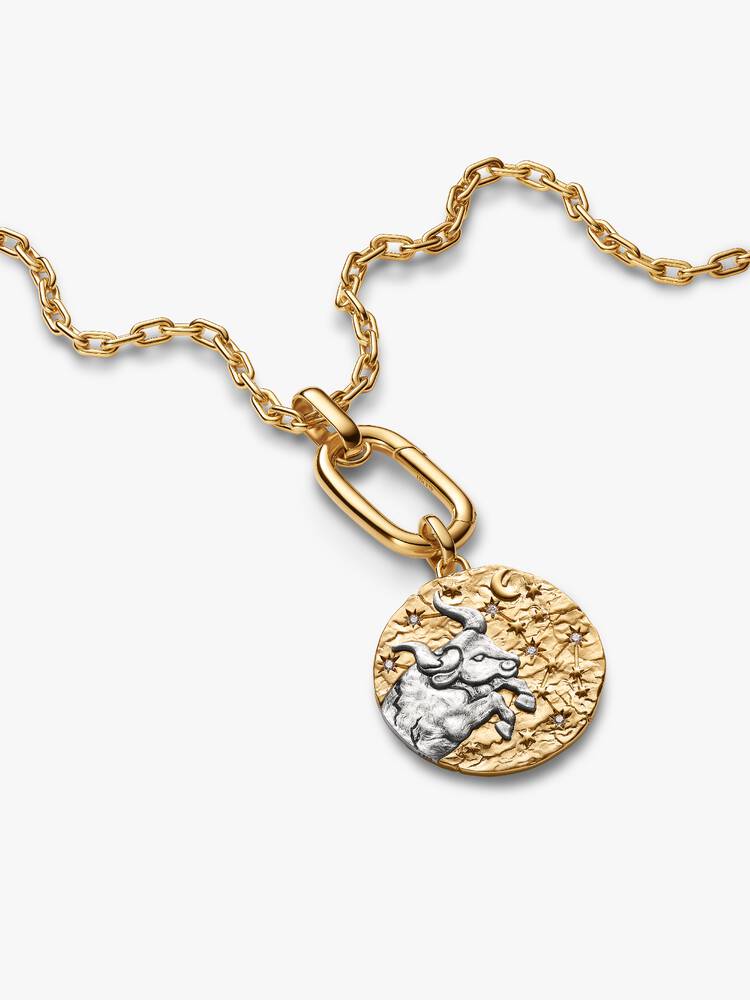PANDORA ME - TALISMAN | Charm Medallion XL Toro 