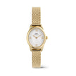 DANIEL WELLINGTON | Ophelia Mesh Mini Gold 22x25.5mm | DW00100939