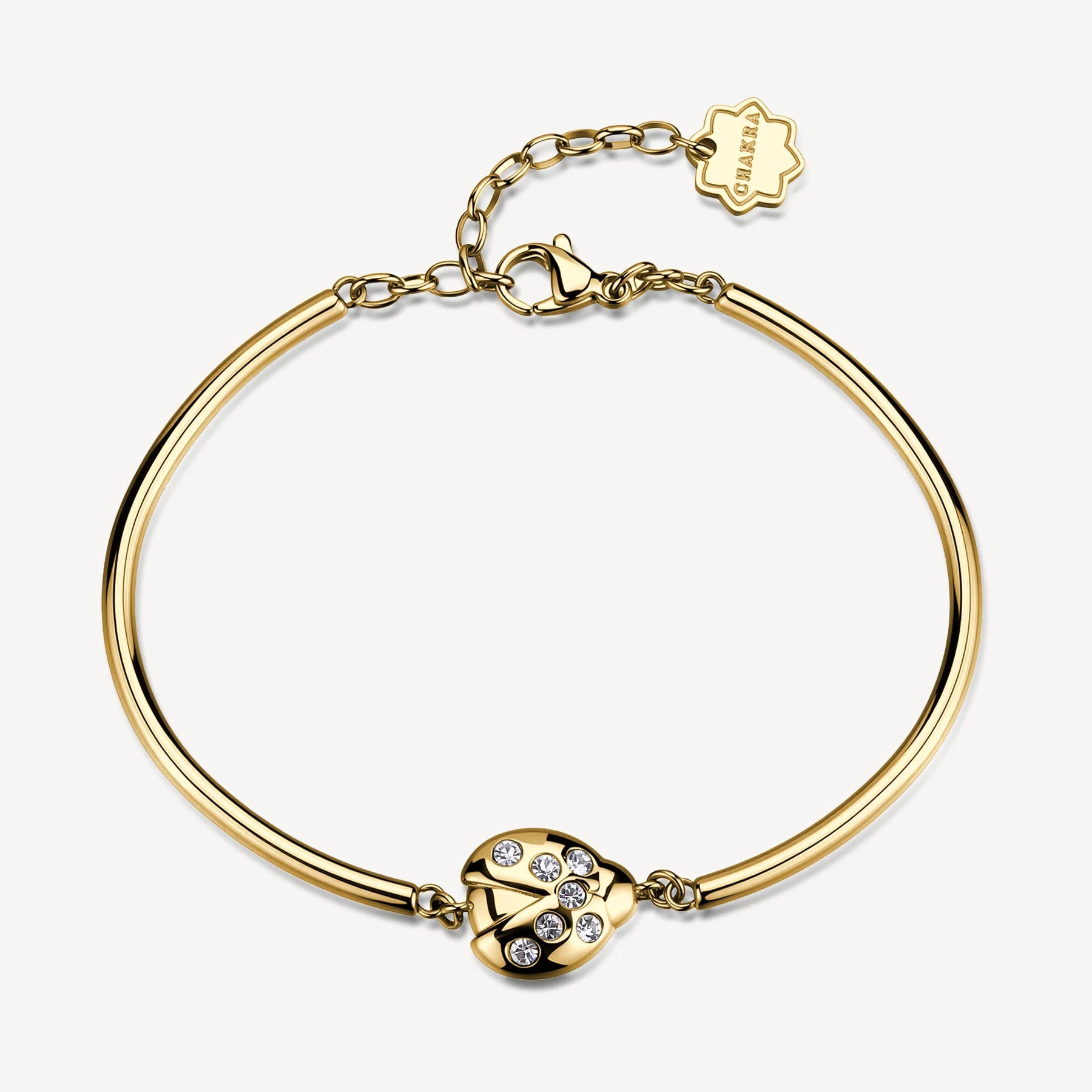 Brosway | BRACCIALE CHAKRA FORTUNA | BHKB315