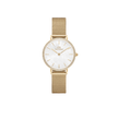 DANIEL WELLINGTON | PETITE LUMINE BEZEL EVERGOLD MOP 28 MM | DW00100662