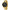 SECTOR | OROLOGIO 230 UOMO | R3253161051