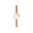 DANIEL WELLINGTON | Petite Mini Evergold Gold 19mm | DW00100745