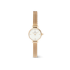 DANIEL WELLINGTON | Petite Mini Evergold Gold 19mm | DW00100745